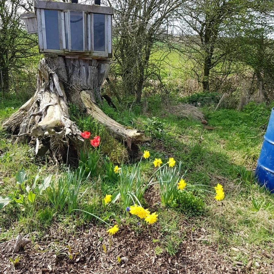 Romantic Escape Luxury Hobbit House With Hot Tub! Sheerness Exterior foto